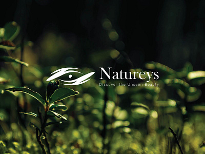 Natureys : Discover the Unseen Beauty adventure travel branding discover natures beauty eco tourism environmental conservation graphic design hidden natural wonders logo design nature adventures nature exploration nature logo nature photography outdoor exploration scenic landscapes wilderness exploration