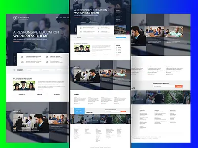 Buniness website website design