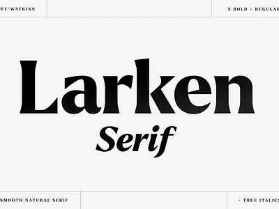 Larken - A Beautiful Serif classy display font eco ecofont fashion font gentle header font italic font larken larken a beautiful serif latin logo logo font magazine font minimalist modern serif retro serif serif typeface