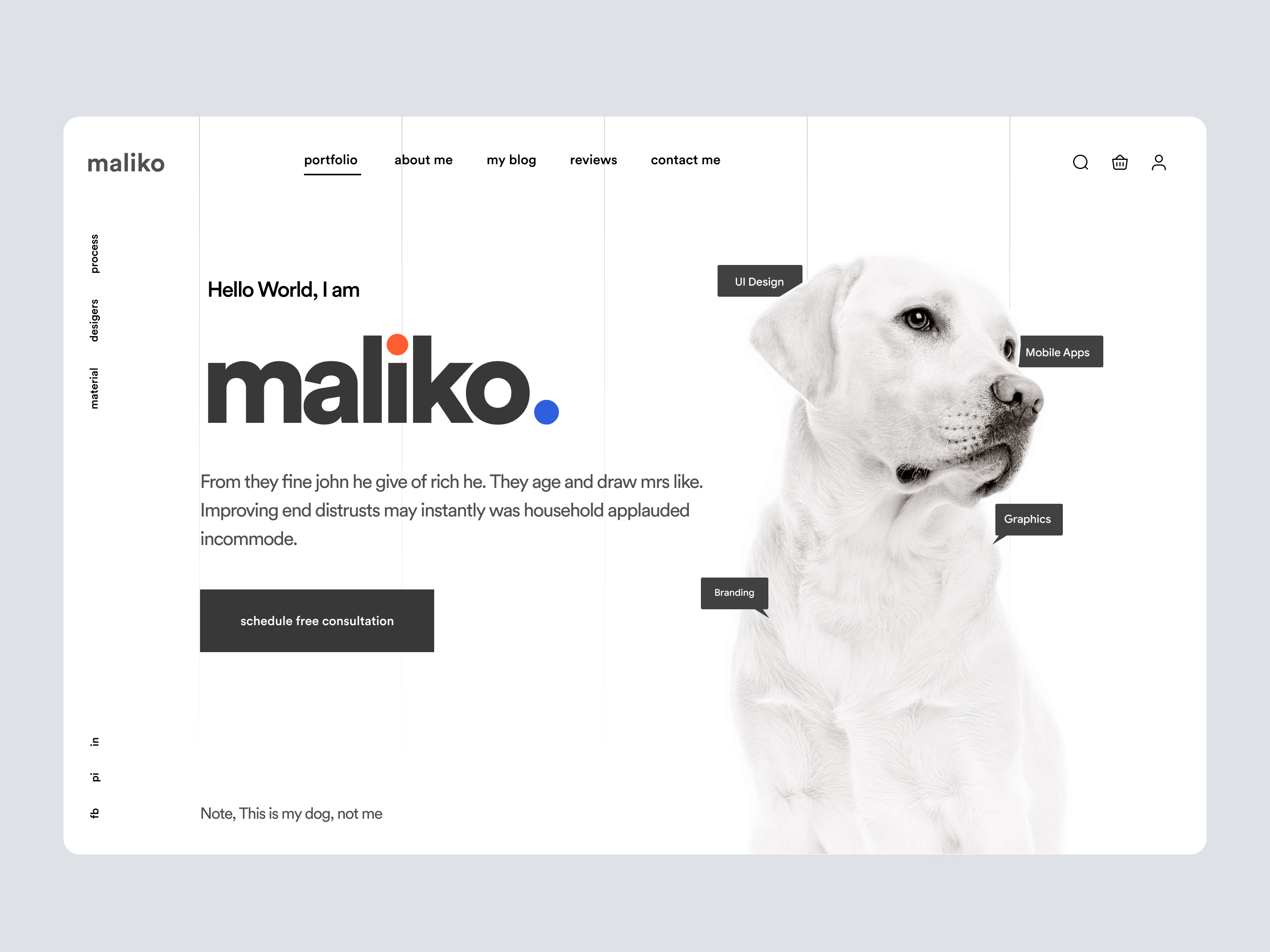 Pet Consulting Website banner best ui branding business consulting figma hero section inspiaration portfolio site template trandign design tranding ui update design web design website website banner