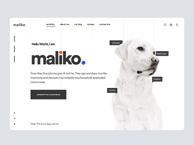 Pet Consulting Website banner best ui branding business consulting figma hero section inspiaration portfolio site template trandign design tranding ui update design web design website website banner