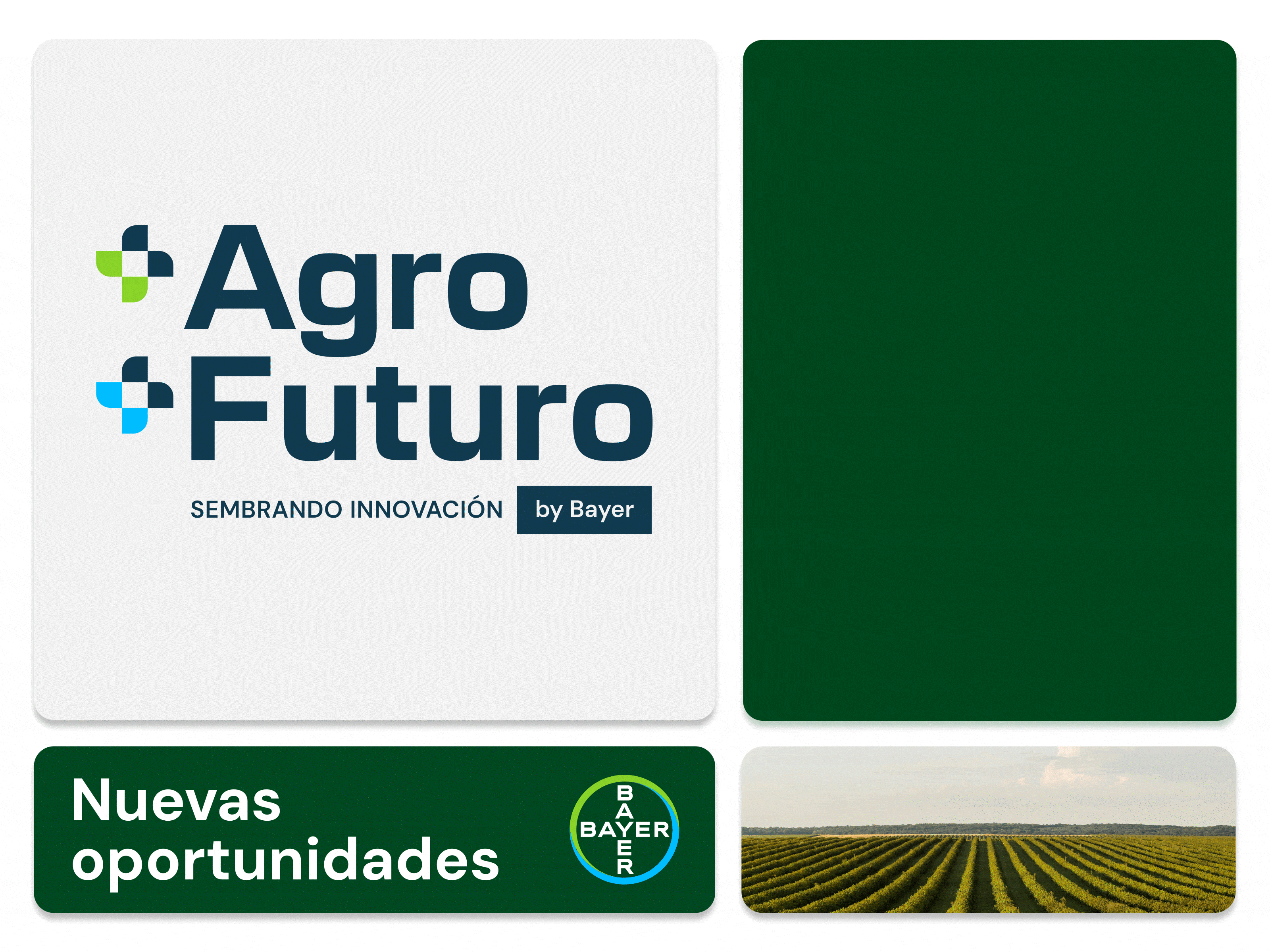 Bayer | +Agro +Futuro - Branding agro animation bayer branding figma graphic design illustrator logo