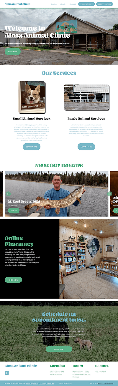 Alma Animal Clinic css javascript squarespace web design web developer websites