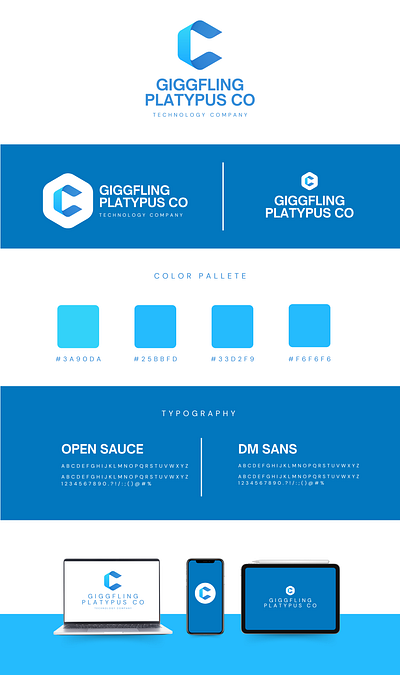 Brand Identity Design brand guidelines brand identity design branding business