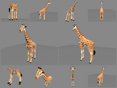 Giraffe Lowpoly Realistic 3D Model wildlife