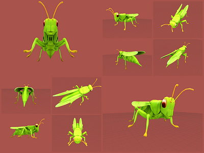 Grasshopper Green Realistic Lowpoly 3D Model wildlife