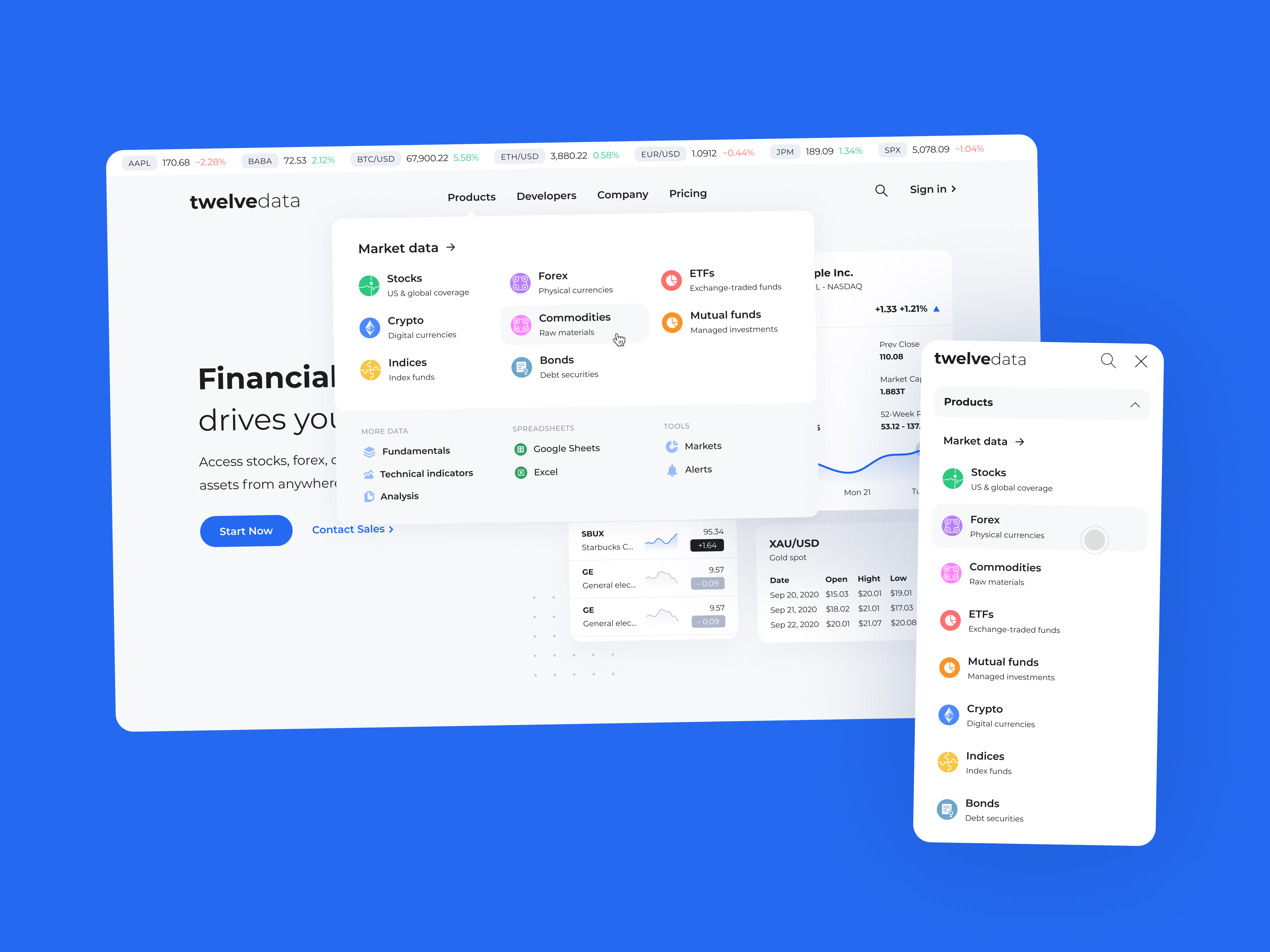 Example of Website Design & Development
