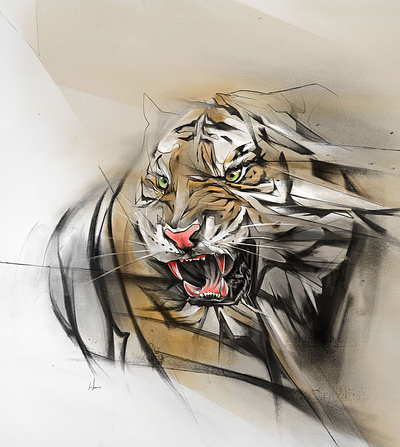 Wild Tiger alexismarcou animal design digitalillustration drawing graphite illustration pencil tiger