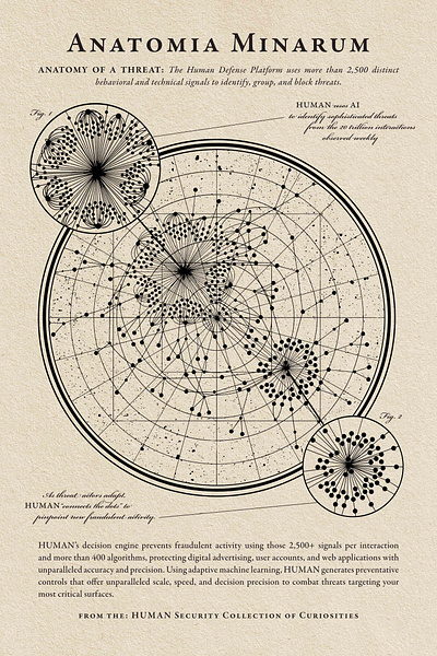 Constellation Poster - Human Security 2/8 black and white illustration emblem design engraving illustration illustration poster design poster illustration stars constellation stars poster vintage illustration