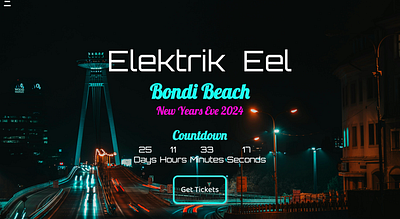 Electrik Eel - Website Design for music show website design