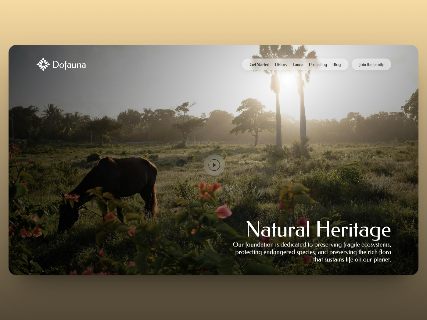 Crafting Digital Worlds: Dofauna Hero Section Exploration branding clean concept design fauna flora foundation glass hero horse idea logo minimal nature overlay sketch sunlight ui ux web