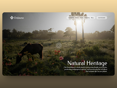 Crafting Digital Worlds: Dofauna Hero Section Exploration branding clean concept design fauna flora hero minimal nature sketch ui ux