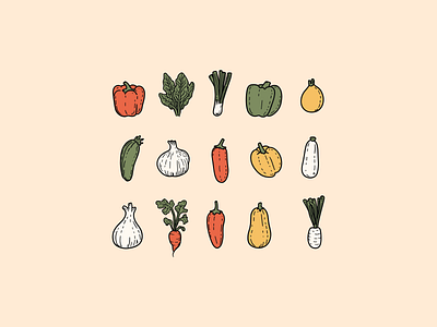 Vegetable illustrations design graphic design illustration vector vegetable