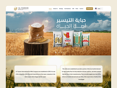 Al-Tayseer Group - Web Design modern ui unique website