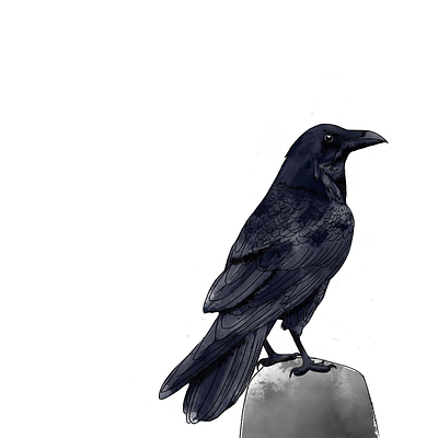 raven art illustration ink procreate watercolour