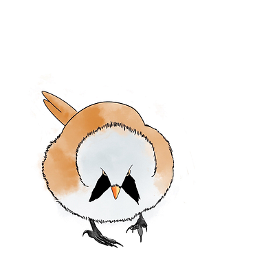 bearded reedling art illustration procreate watercolour