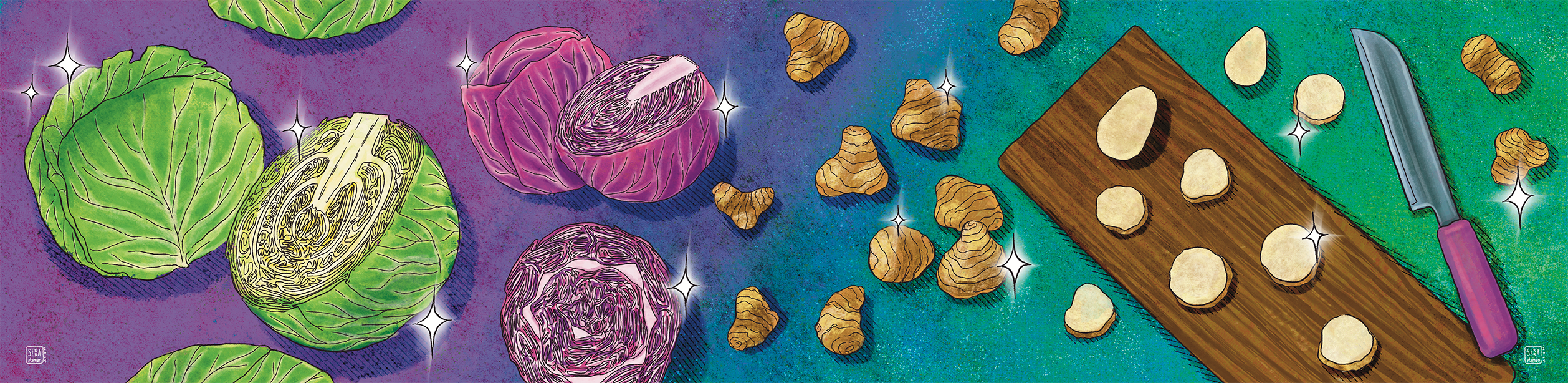 Cabbage & Sunchoke colorful digital drawing digital illustration editorial illustration food illustration illustration vegetable illustration