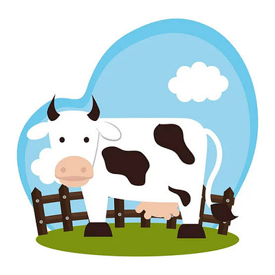 Cow illustration Design design illustration