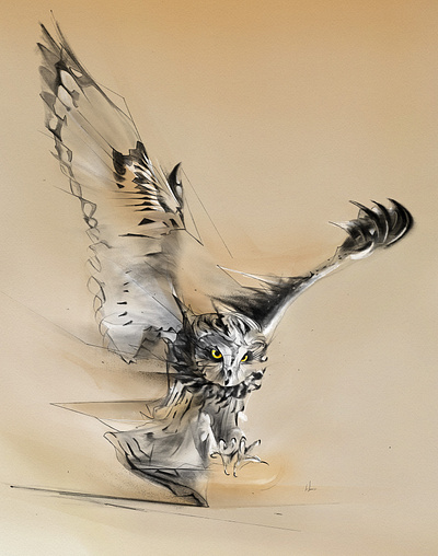 Wild Owl adobe digitalillustration drawing illustration pencil