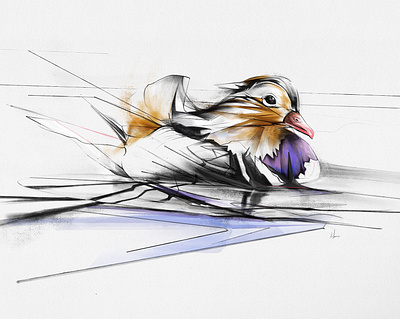 Wild Duck adobe drawing duck geometric illustration lineart pencil