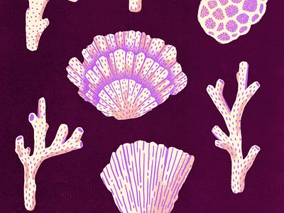 Caribbean Corals carribean colals design illustration nature pink procreate purple sea web illustration