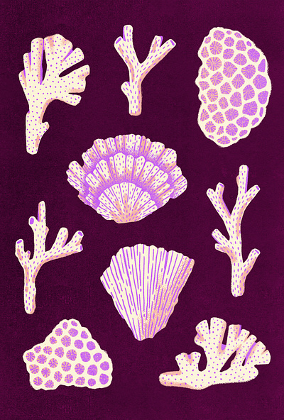 Caribbean Corals carribean colals design illustration nature pink procreate purple sea web illustration