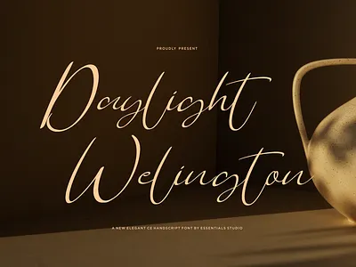 Daylight Welington Script Font calligraphy cursive font elegant font fancy font font handwritten font product font script font wedding font