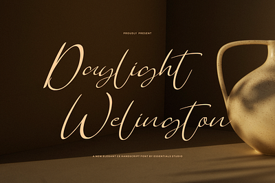 Daylight Welington Script Font calligraphy cursive font elegant font fancy font font handwritten font product font script font wedding font