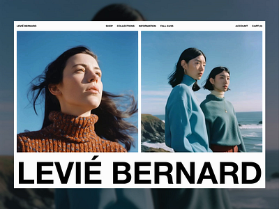 Levié Bernard animation branding design portfolio typography ui web design