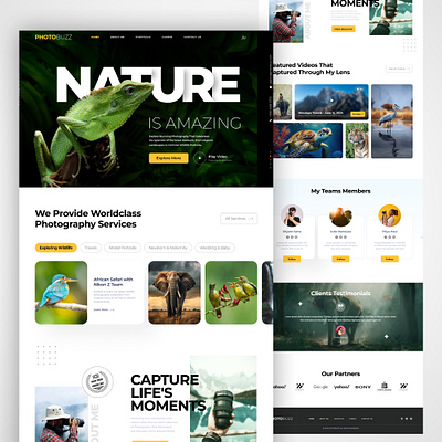 Photography Website Landing Page Design branding graphic design photographer website photography landing page designs photoshop ui ux web designs