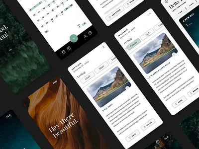 DailyFlo - App branding graphic design ui