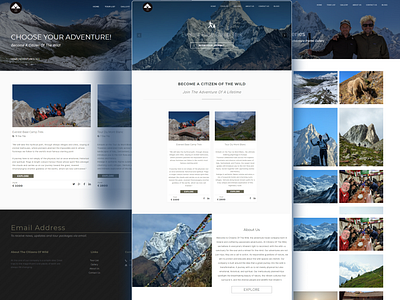 Citizens of Wilds landingpage ui uiux design web design