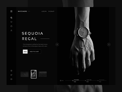 Watchers - Luxury Watch Hero Image Exploration timepieceuiux watchwebsiteui