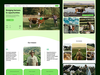 Cattle Co - Farm Landing Page agriculture animals business clean corporate cows design farm farmer interface product renewable energy saas service startup technology ui ux web website