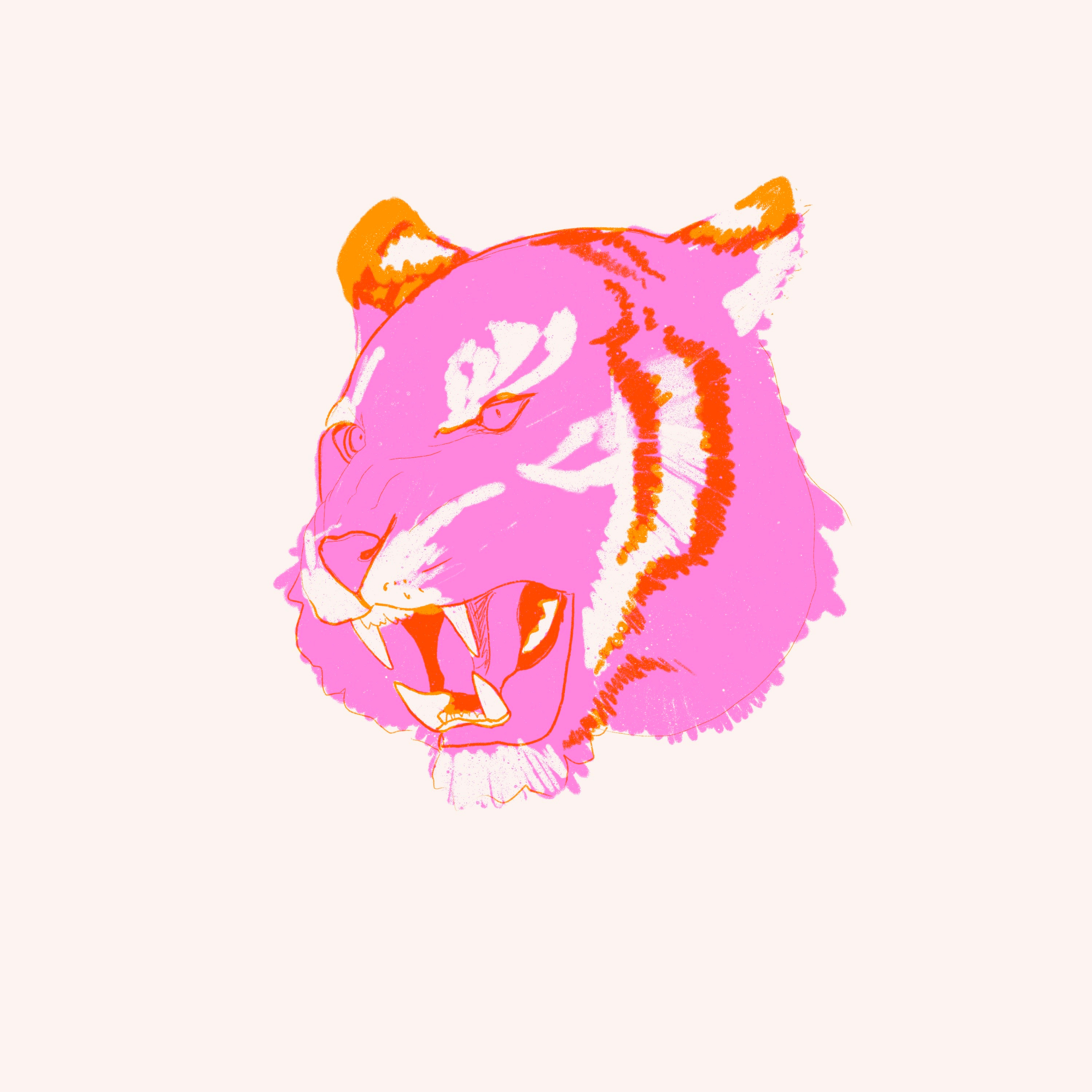 Pink Tiger illustration