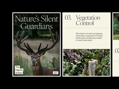 Archive 01 3d animation branding design editorial graphic design grid illustration layout logo motion graphics poster typo typography ui ui elements uidesign ux web web design