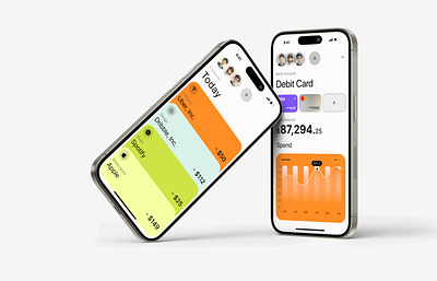 Financial Management App clean design ui ui design uiux ux ux design