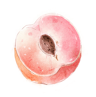 peach digitalart illustration photoshop watercolor イラスト