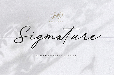 Sigmature Font elegant font handlettering handwritten script signature typeface typography