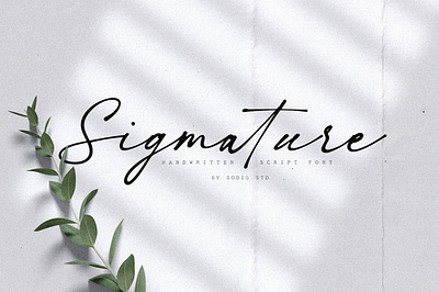 Sigmature Font elegant font handlettering handwritten script signature typeface typography