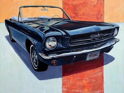 1964 1/2 Mustang car painting