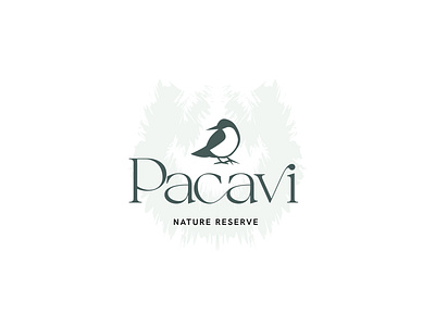 Pacavi birds brand brand design brand identity branding creative design graphic design logo logo concept nature