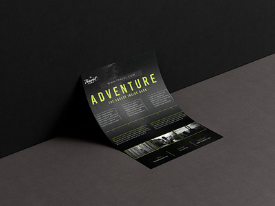 travel flyer dei app branding design flyer graphic design illustration logo typography ui ux vector