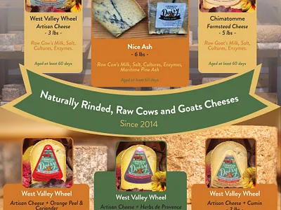 One page brochure graphic design layout