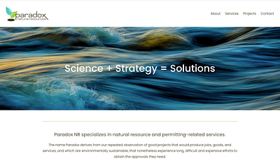 Paradox Natural Resources website graphic design layout webdesign