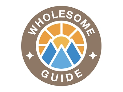 Wholesome Guide Adventure Badge Explorer Logo Icon Mountains Sun adventure branding design explore fun graphic design guide illustration logo mountains nature outdoors stars sun sunrise travel vector visual identity wholesome