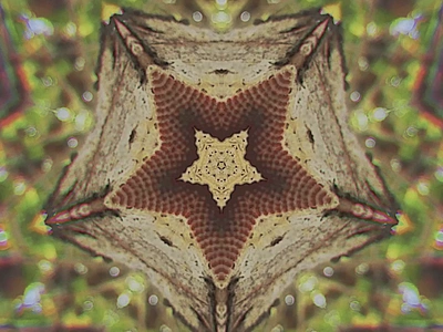 Floral Starfish - Abstract Gems 💎 abstract design flower kaleidoscope photoshop red surreal surrealism trippy video video design video designer videographer