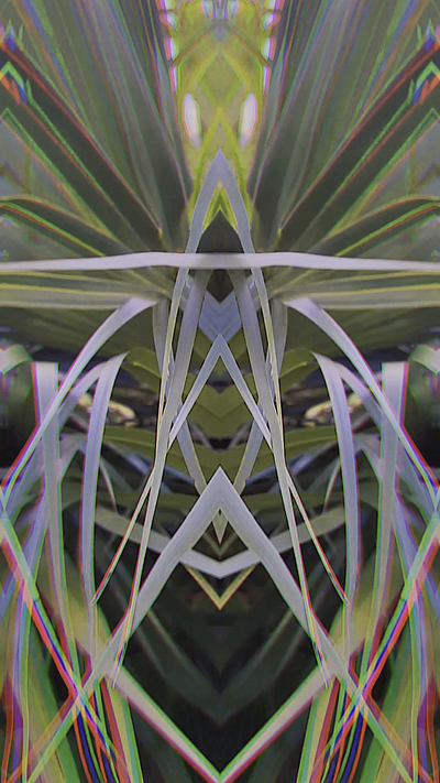 Palms Of Destiny - Abstract Gems 💎 botanical branding design motion motion design motion designer motion graphics sunset surreal surrealism trippy tropical video video design video designer videographer videography