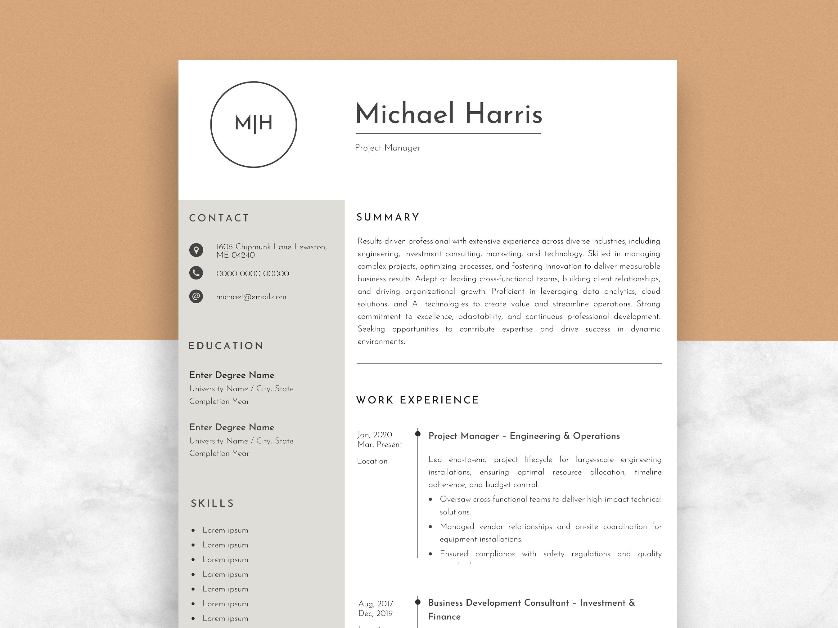 Example of Professional Resume Design Service