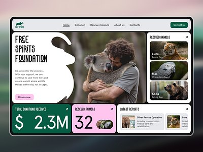 🐾 Web Design for a donation platform | Hyperactive animals colors concept design donation ecommerce foundation graphic design header hyperactive main page platform product design ui user experience user interface ux web web design website